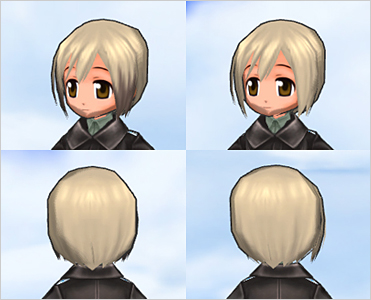 Shirley Introduction Letter